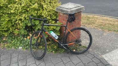 Giant Bike