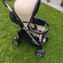 buggy Image 2