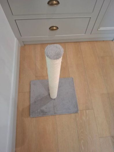 Cat scratching post new
