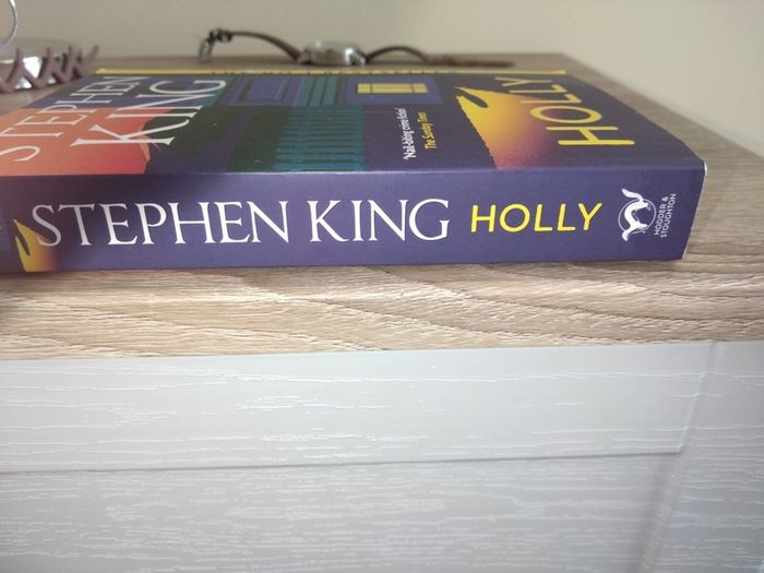 Stephen King Holly (New)