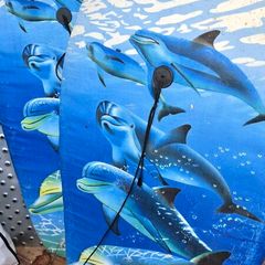 Surf boogie body board