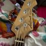Swapping For Different Guitar Or Bass Image 3