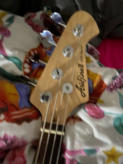 Swapping For Different Guitar Or Bass