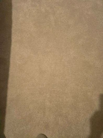 Carpet
