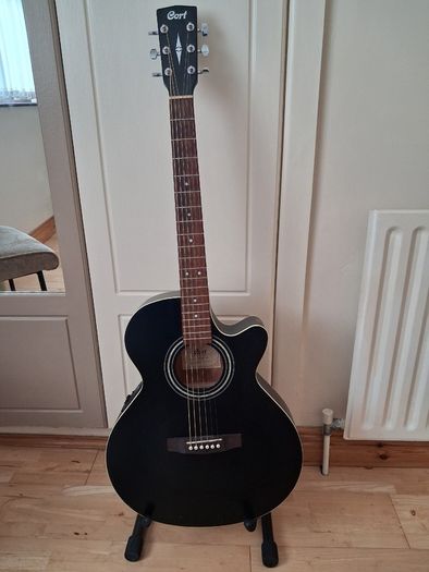 Acoustic Guitar Cort