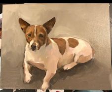 Pet Portrait Commissions