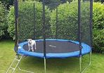 _trampoline including a safety net, jumping mat, ladder and edge cover, 305 cm diameter