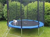_trampoline including a safety net, jumping mat, ladder and edge cover, 305 cm diameter
