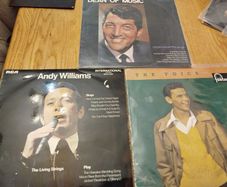 vinyl