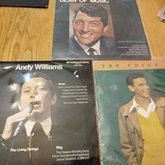vinyl