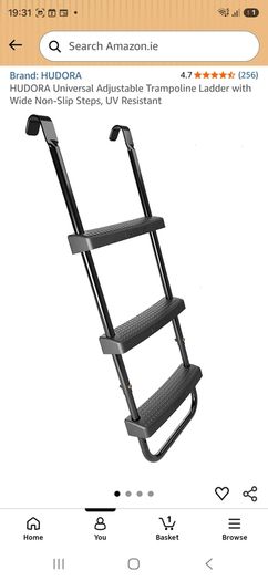 Trampoline ladder