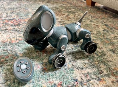 Pyxel Coding dog