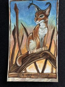 Tarot Card
