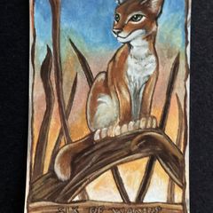 Tarot Card