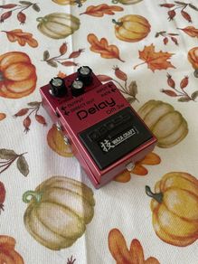 Boss DM-2w Waza Craft Analog Delay