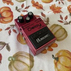 Boss DM-2w Waza Craft Analog Delay