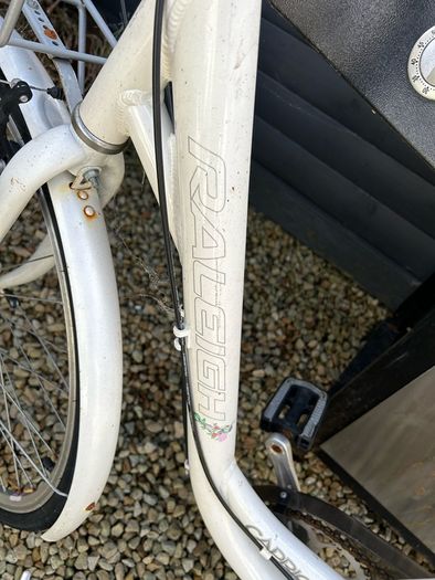raleigh