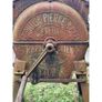Pierce Wexford Root Cutter KAS1108 Image 4