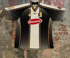 Player issue Kilkenny Training jersey