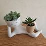 Funny planter with plant Image 2