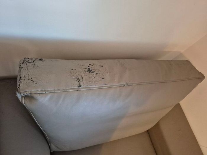 single sofa bed