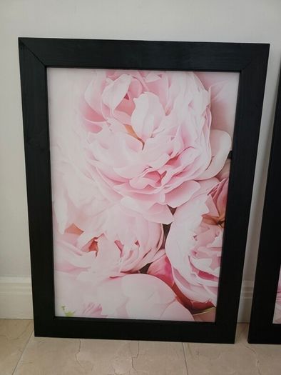 3 pictures with frame 53x72 cm