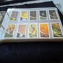 Very Large Collectors Folder of Old cigarette trade cards Tea Cards, Postage Available or collection Image 3