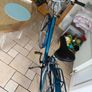 Pioneer Woman's bike Image 4
