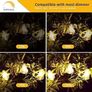 Outdoor String Lights Mains Powered 60FT, Festoon Light Waterproof with 30+1 LED Plastic Bulbs, ST38 Hanging Lighting for Outside Patio Cafe Indoor Party 2700K Warm White Image 3