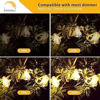 Outdoor String Lights Mains Powered 60FT, Festoon Light Waterproof with 30+1 LED Plastic Bulbs, ST38 Hanging Lighting for Outside Patio Cafe Indoor Party 2700K Warm White