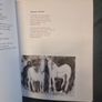 Pony by Tony Curtis, David Lilburn Image 7