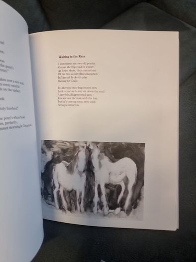 Pony by Tony Curtis, David Lilburn