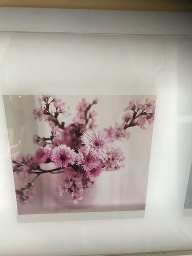 Framed Floral Print Set