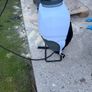 knapsack sprayer Image 4