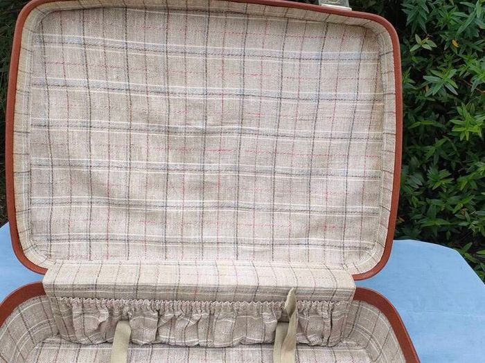 Vintage Antler weekend case