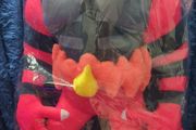 Pokemon Incineroar 33cm plush toy