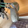 Golf clubs Image 5