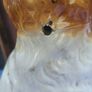 Vintage Ceramic Spaniel Dog Image 5