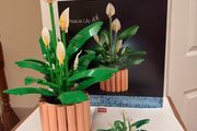 Lego Botanicals Lily