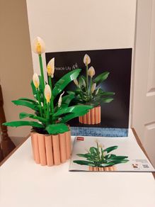 Lego Botanicals Lily