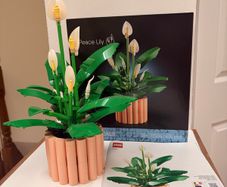 Lego Botanicals Lily