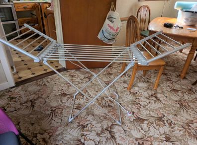 Electric clothes horse