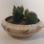 Lovely Arklow Pottery Tureen with Cacti Garden - A Fabulous Unique and Decorative Item for Display Indoors Image 3