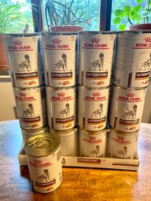 Low fat Dog wet food - Royal Canin