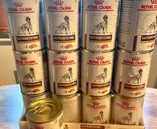 Low fat Dog wet food - Royal Canin