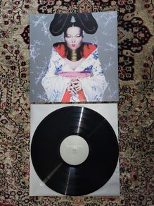 Bjork: Homogenic LP