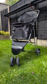 Dog Buggy