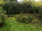 gardening and landscaping Image 7