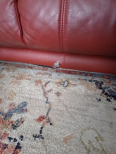 Leather 2 Seater