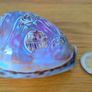 Beautiful Carved Tiger Cowrie Shell Image 6